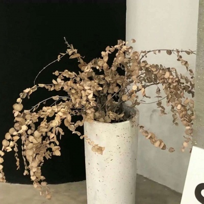 兽设复古风格设计兽圈群